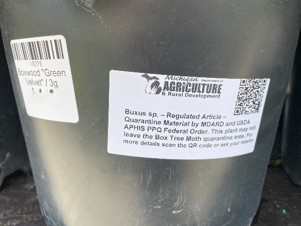 A black nursery pot with two labels. One small white label reads &ldquo;Boxwood &lsquo;Green Velvet&rsquo; 3g.&rdquo; A larger label from the Michigan Department of Agriculture & Rural Development warns that Buxus (boxwood) is a regulated article under quarantine for the Box Tree Moth and cannot leave the quarantine area.